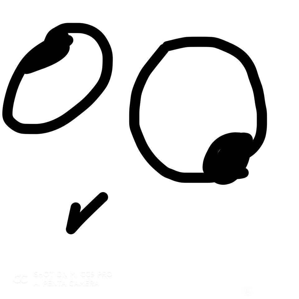 cgb