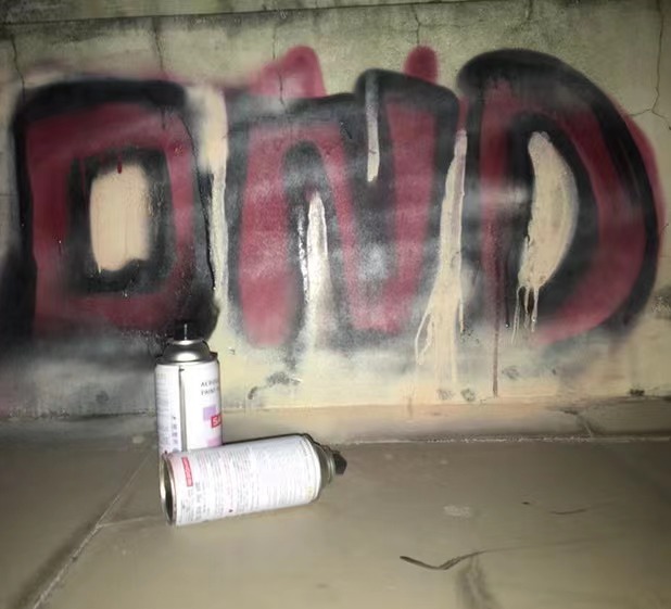 Only Nice Dangerous
