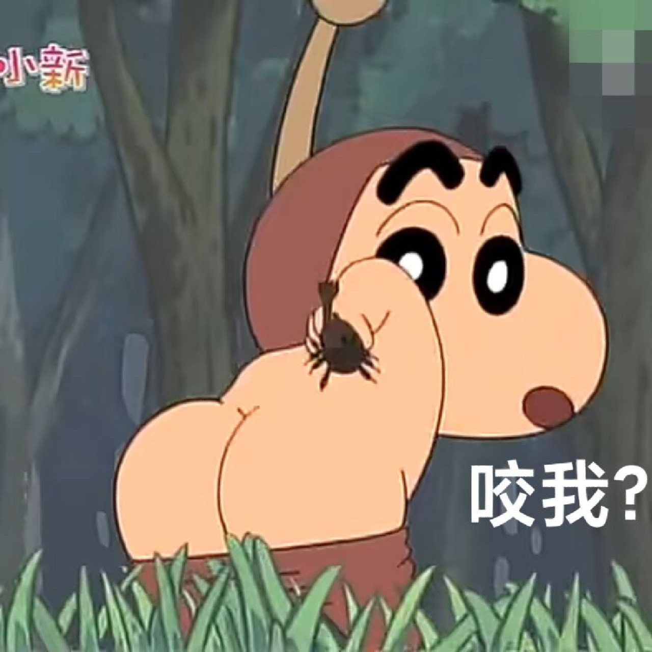 春日部防卫队