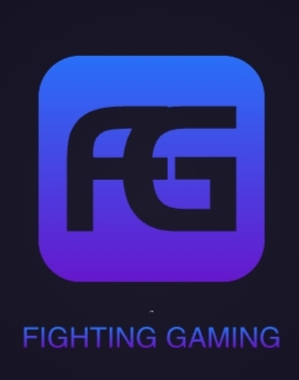 Fighting Gaming