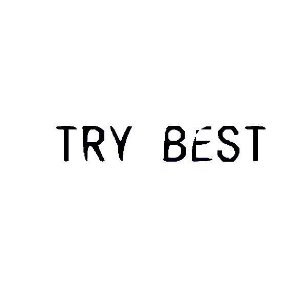 Try Our Best