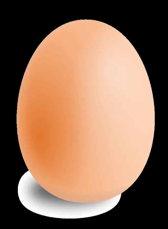 EggTeam