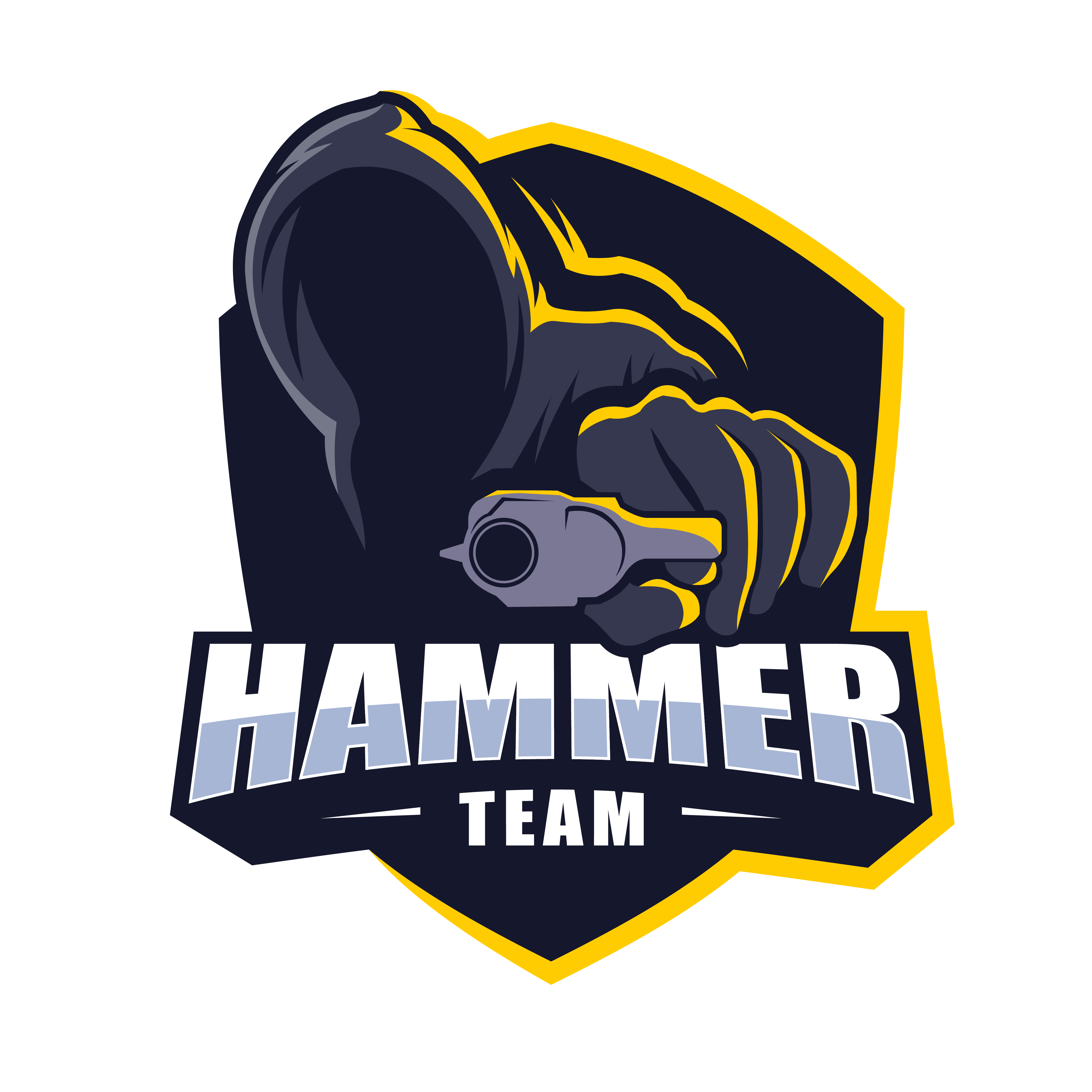 Team Hammer