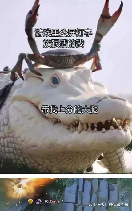 逗逗你的呀