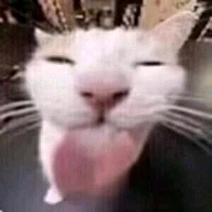 拯救者不卡