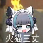 RaidenK