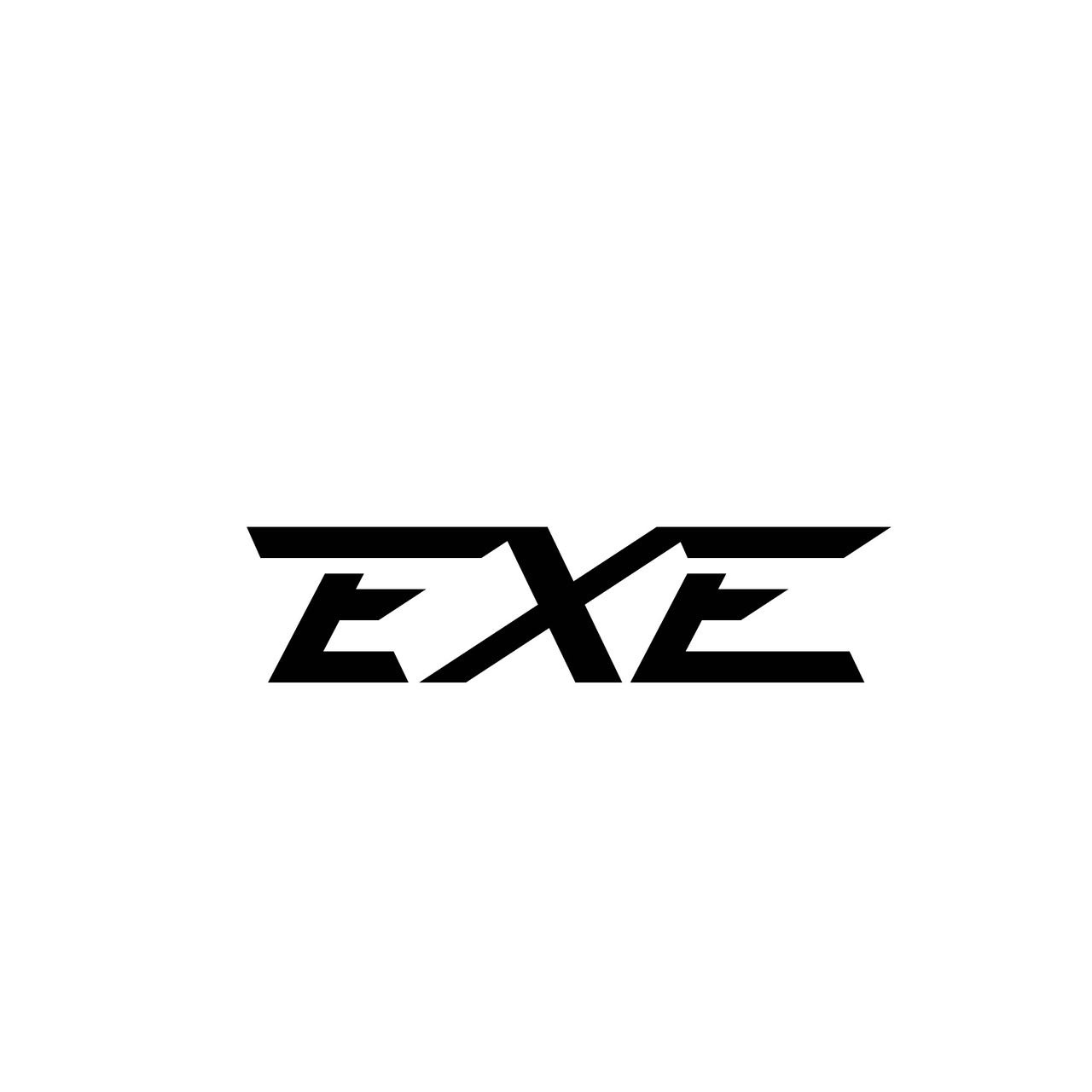 EXE