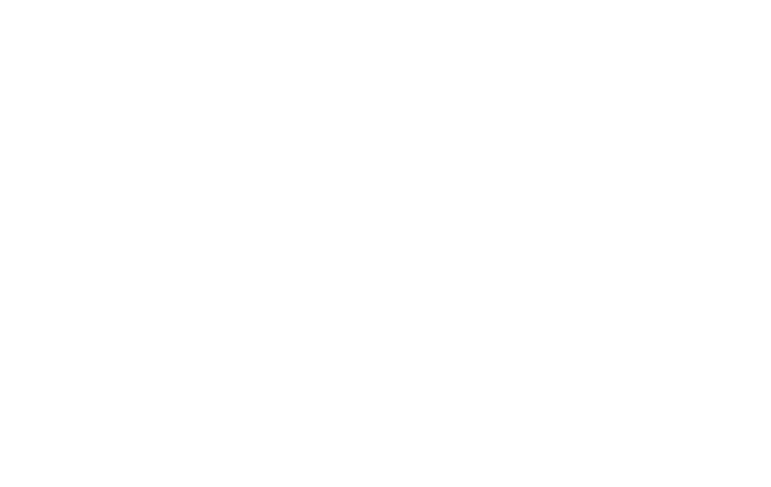 NEVER ON TIME